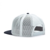 Price Buster! Tri-color Flatbill Cap Back Image on white background